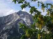 PASSO DI TARTANO E LAGHI DI PORCILE 21 giugno 2009 - FOTOGALLERY